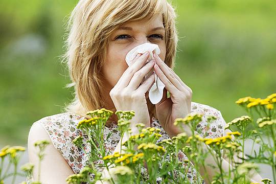 Junge Frau mit Heuschnupfen und Allergie steht in Frühlingswiese und putzt sich die Nase.