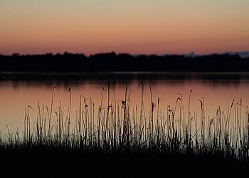 Abendstimmung am See.