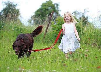Kind läuft mit Hund über eine Blumenwiese