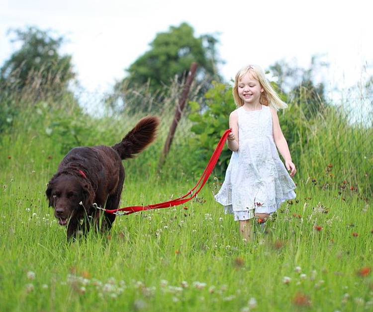 Kind läuft mit Hund über eine Blumenwiese