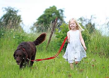 Kind mit Hund auf Blumenwiese