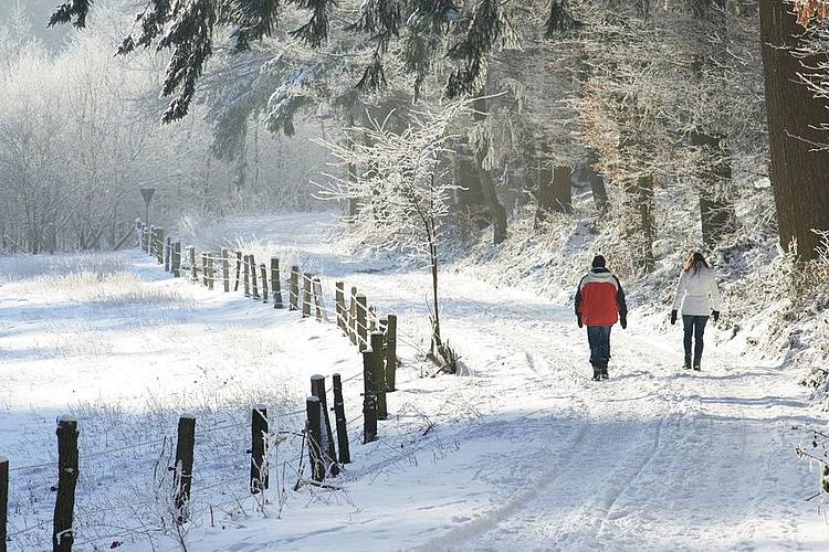 Zwei Menschen gehen im Schnee
