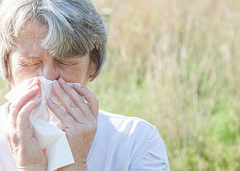 Ältere Dame mit Heuschnupfen auf einer Wiese mit Gräserpollen putzt sich die Nase