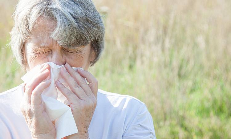 Ältere Dame mit Heuschnupfen auf einer Wiese mit Gräserpollen putzt sich die Nase