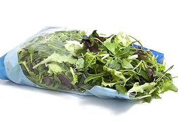 Salat aus der Tüte