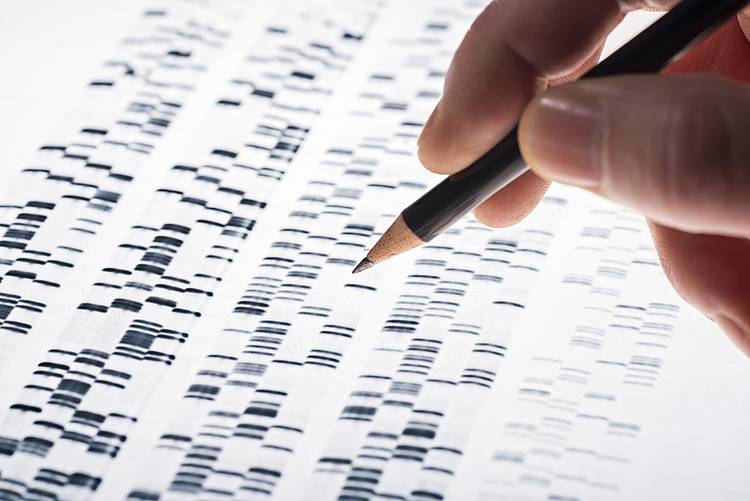 Frau mit Bleistift markiert Genveränderung auf DNA-Testergebnis