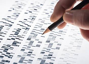 Frau mit Bleistift markiert Genveränderung auf DNA-Testergebnis