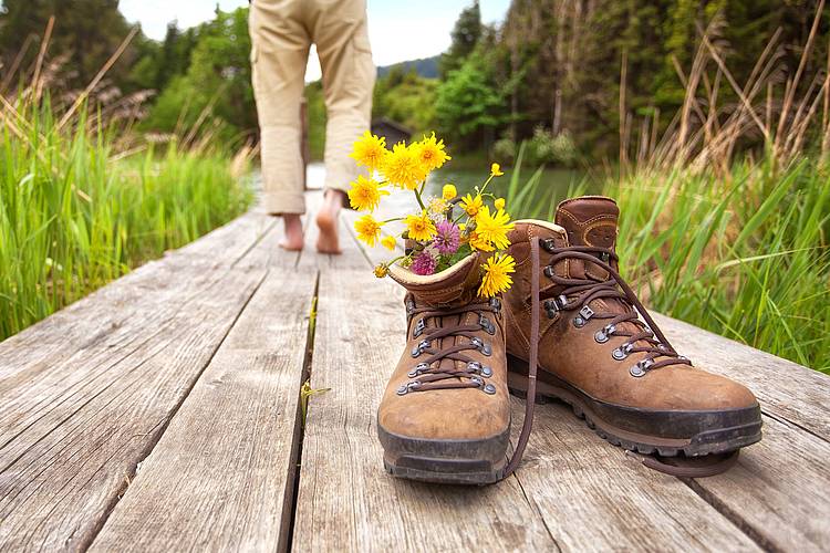 © Fotolia / Jenny Sturm