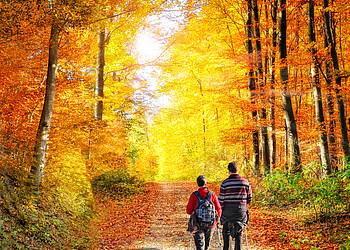 Zwei Wanderer im herbstlichen Wald