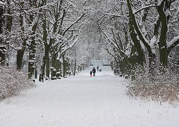 Winterlandschaft mit Spaziergängern